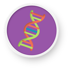 DNA double helix icon